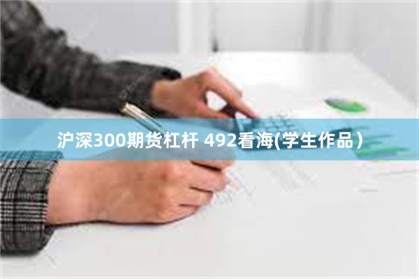 沪深300期货杠杆 492看海(学生作品）