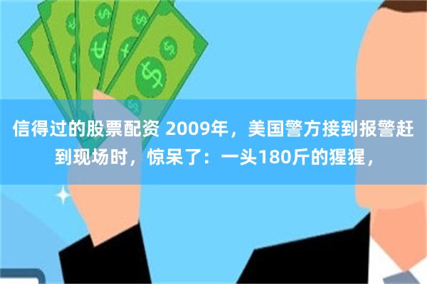 信得过的股票配资 2009年，美国警方接到报警赶到现场时，惊呆了：一头180斤的猩猩，