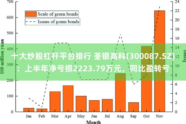 十大炒股杠杆平台排行 荃银高科(300087.SZ)：上半年净亏损2223.79万元，同比盈转亏