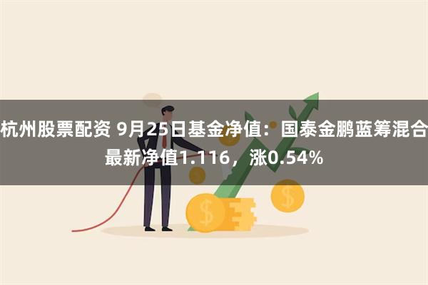 杭州股票配资 9月25日基金净值：国泰金鹏蓝筹混合最新净值1.116，涨0.54%