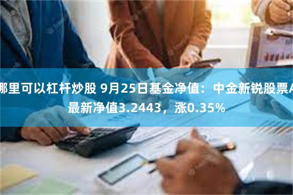 哪里可以杠杆炒股 9月25日基金净值：中金新锐股票A最新净值3.2443，涨0.35%