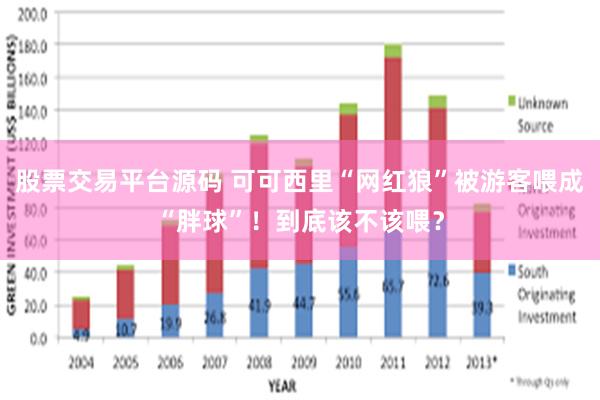 股票交易平台源码 可可西里“网红狼”被游客喂成“胖球”！到底该不该喂？