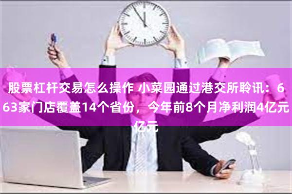 股票杠杆交易怎么操作 小菜园通过港交所聆讯：663家门店覆盖14个省份，今年前8个月净利润4亿元