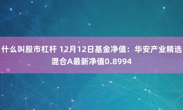 什么叫股市杠杆 12月12日基金净值：华安产业精选混合A最新净值0.8994