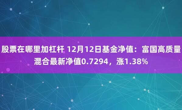 股票在哪里加杠杆 12月12日基金净值：富国高质量混合最新净值0.7294，涨1.38%