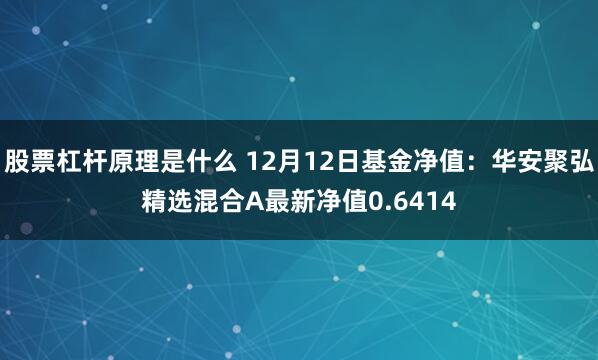 股票杠杆原理是什么 12月12日基金净值：华安聚弘精选混合A最新净值0.6414