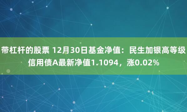 带杠杆的股票 12月30日基金净值：民生加银高等级信用债A最新净值1.1094，涨0.02%