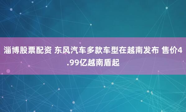 淄博股票配资 东风汽车多款车型在越南发布 售价4.99亿越南盾起