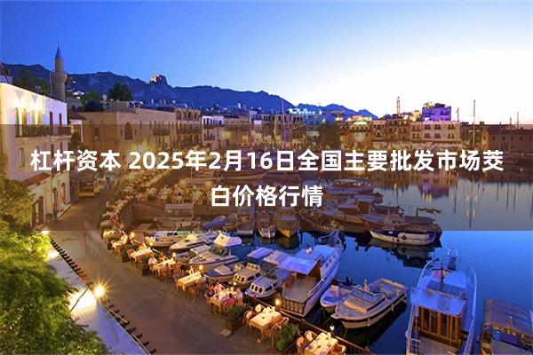 杠杆资本 2025年2月16日全国主要批发市场茭白价格行情